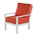 custom color foam cushion lounge chair