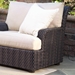 Aruba Wicker Lounge Chair - S530011