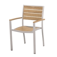 PolyWood Euro Dining Arm Chair - A200