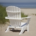Seashell Adirondack Chair - SH22