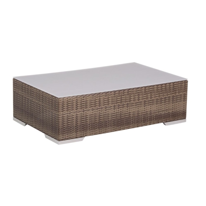 Arzo 41" x 26" Frosted Acrylic Coffee Table