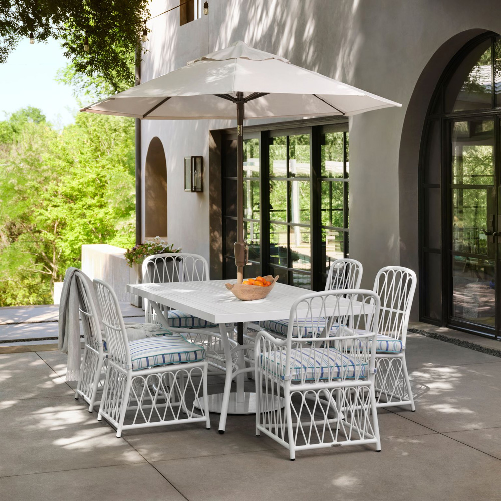 Woodard Cane Rectangle Dining Set for 6 - WD-CANE-SET4
