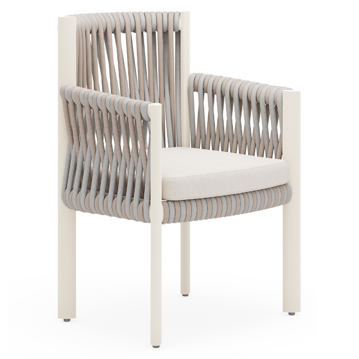 Woodard Eve Dining Chairs with Seat Cushions oyster