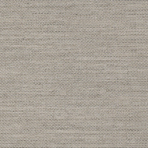Fog Rain - 9908