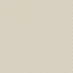 Raindrop Almond - 2055