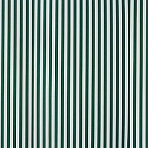 Safari White Stripe - 269