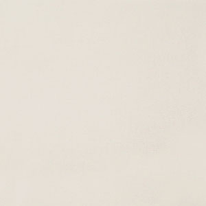 Canvas Canvas - 319