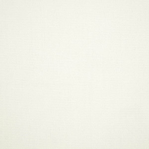 Canvas White - 431