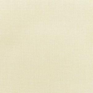 Canvas Birds Eye - 937