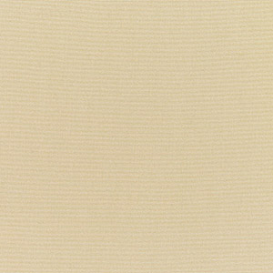Canvas Antique Beige - Y10