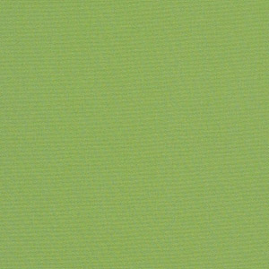 Canvas Ginkgo - Y15