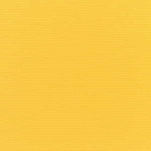 Canvas Sunflower - Y22