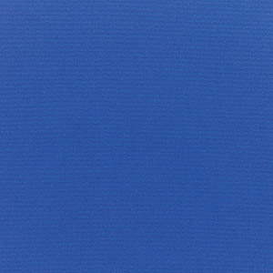 Canvas True Blue - Y25