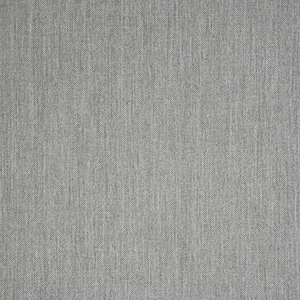 Switch Silver - GT52