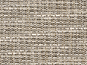 Birch - 147