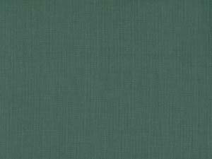Forest Green - 22D