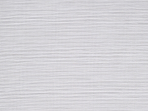 Abalone - 262