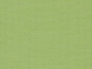 Lime - 38D