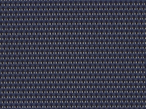 Cane Navy - 493