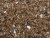 Bronze Fire Glass