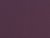 Elderberry - 25X