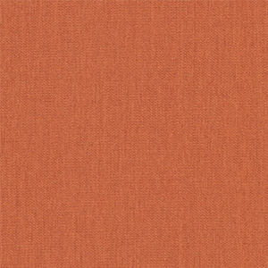 Canvas Rust - 01N