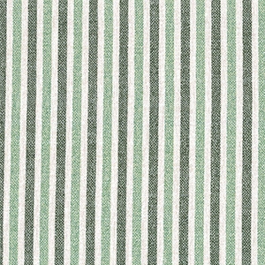 Dune Sage - 24M