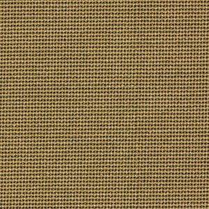 Canyon Bamboo - 468