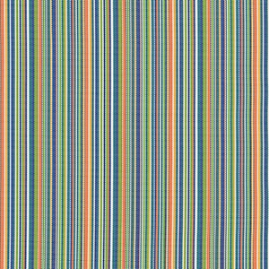 Carnival - 66L