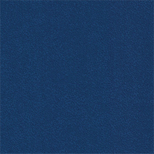 Brisa Cowboy Blue - 75T