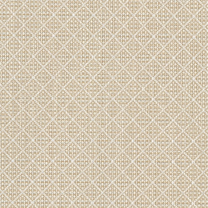 Duet Beige/White - 91D